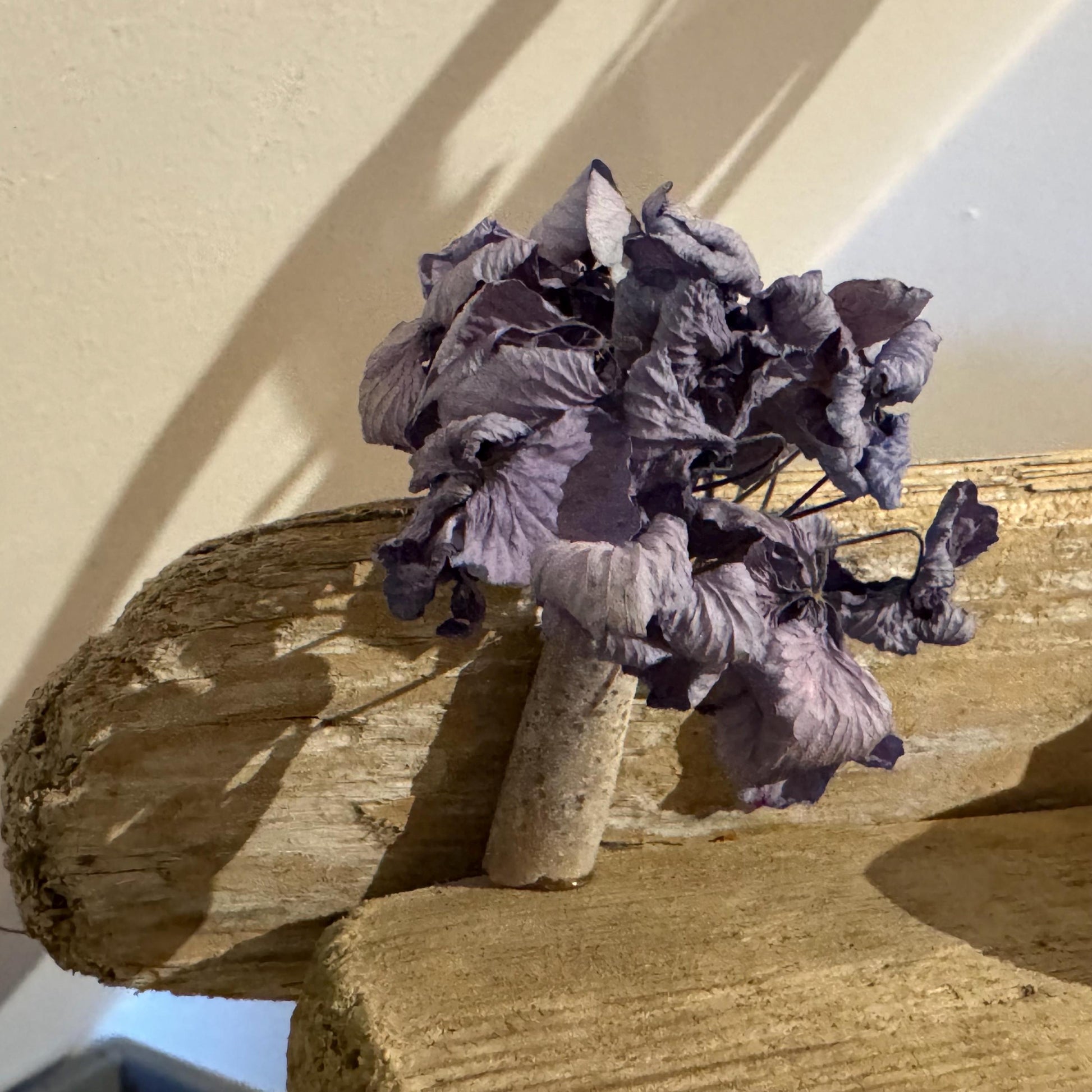 Donnerkeil Fossil als Vase mit Trockenblumen in Treibholz Deko von Treibholzzauber79