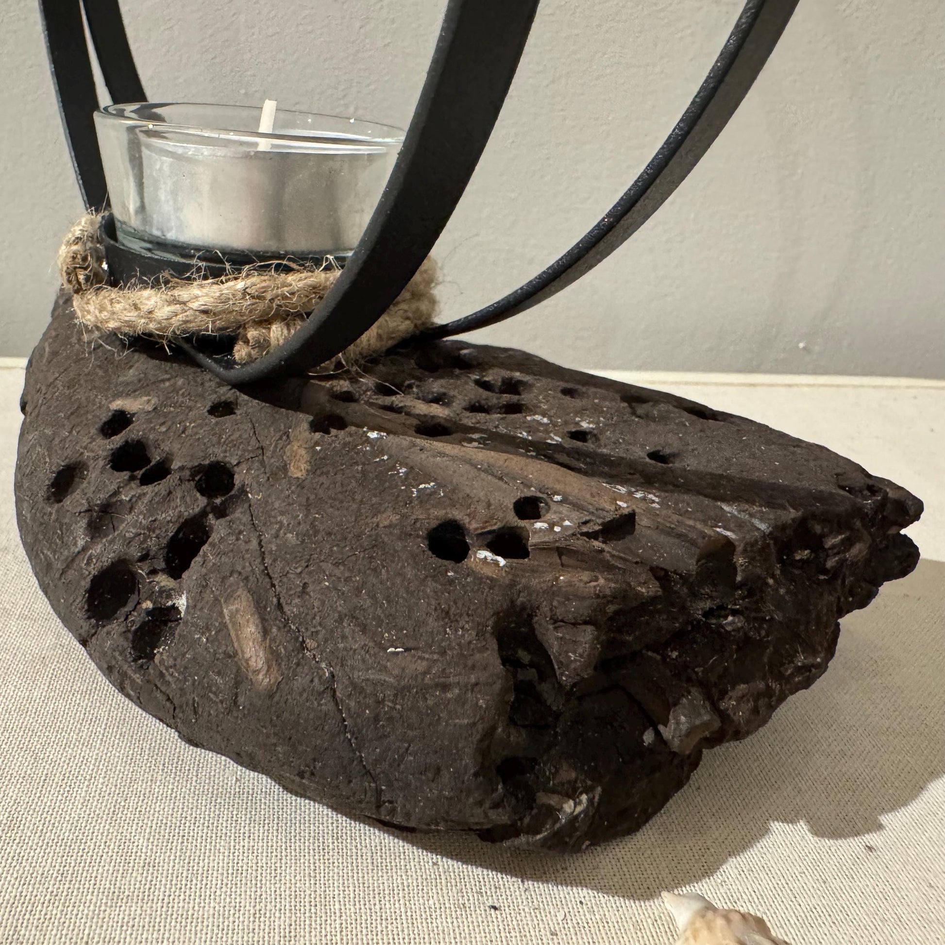 Nahaufnahme der charaktervollen Oberfläche von Doggerland Treibholz mit natürlichen Spuren