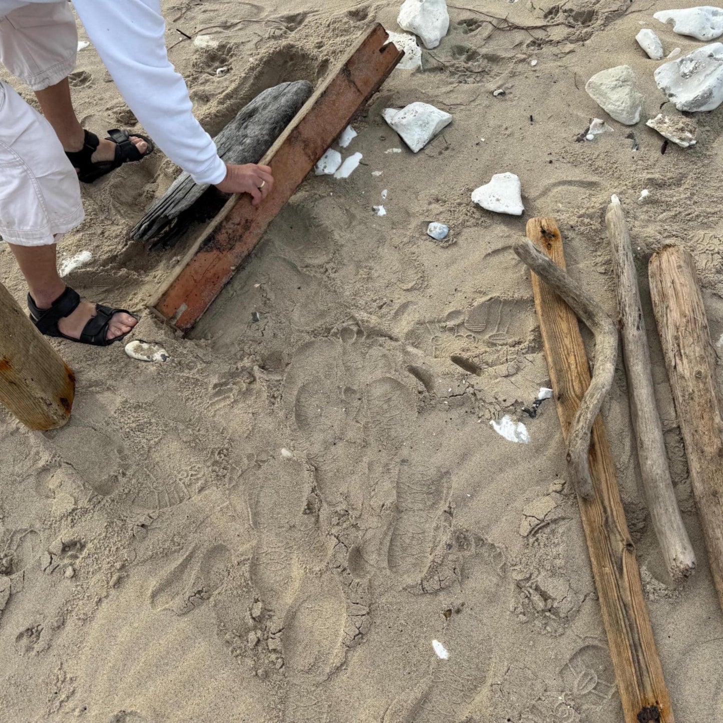 Sammeln von Treibholz am Strand als Grundlage für handgefertigte Dekoration von Treibholzzauber79