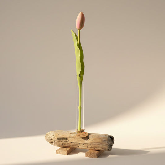Treibholz Vase mit Reagenzglas und Tulpe, nordische Tischdeko aus Holz, schlichtes skandinavisches Design mit Küstencharme