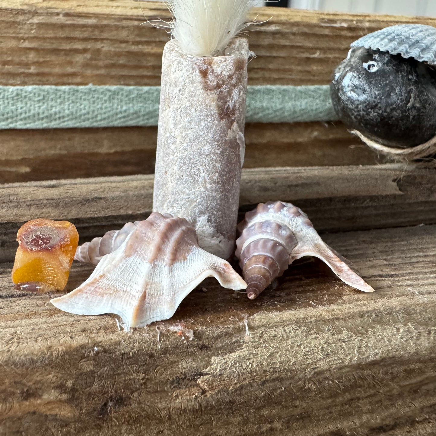 Detail Treibholz Deko mit Bernstein Muscheln und Strandfunden von Treibholzzauber79