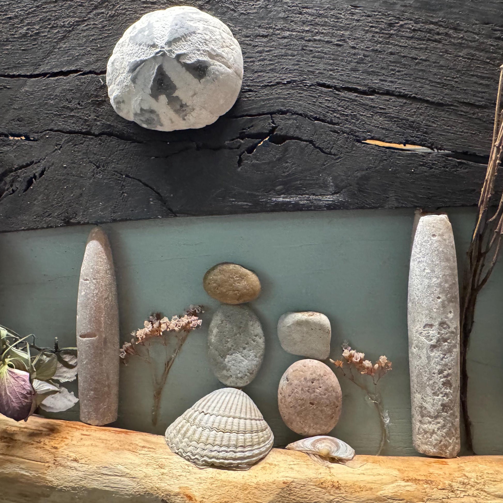 Nahaufnahme der Mitte der Häuserzeile mit Donnerkeilen, Muscheln und fossilisiertem Seeigel von Treibholzzauber79