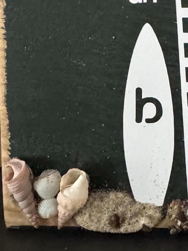 Kopf aus Meer an – maritimes Holzschild mit Muscheln | Handgemachte Küstendeko  aus Eichenholz von Treibholzzauber79