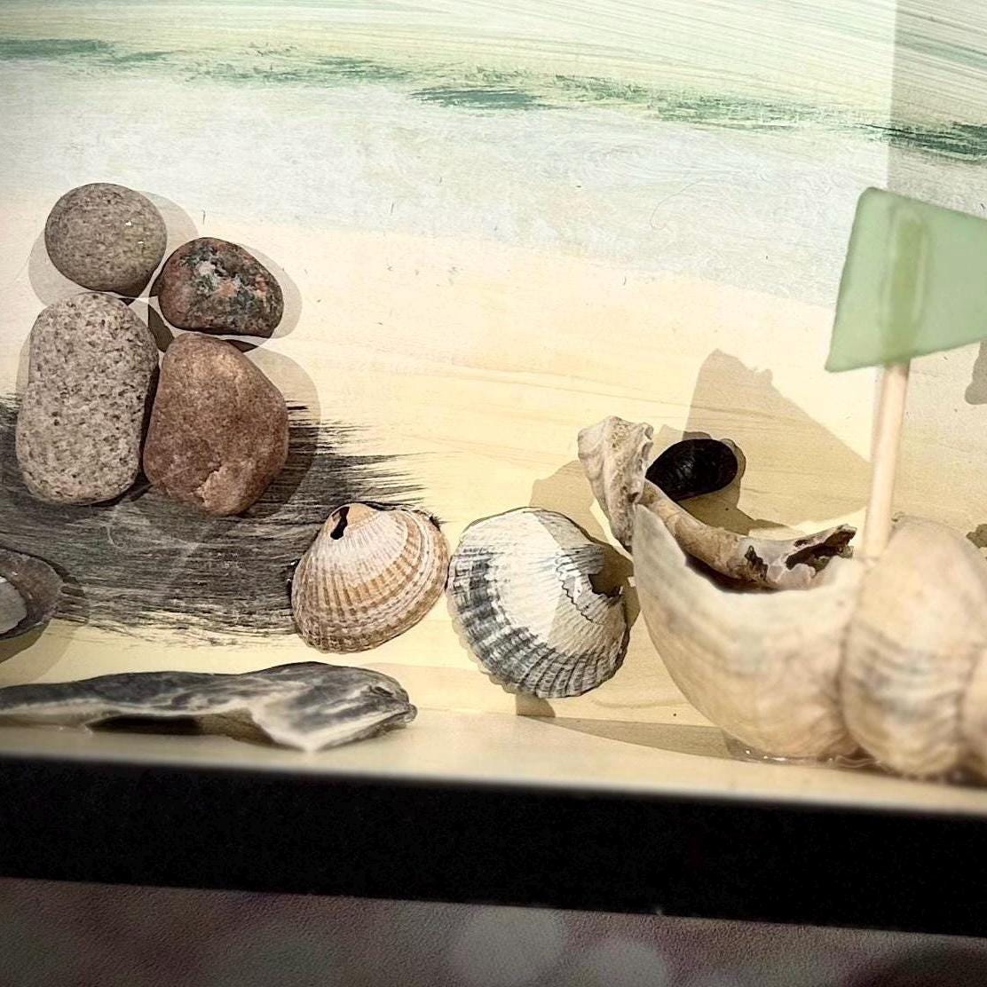 Maritimes Treibholz Wandbild 27x22 cm mit Strandmotiven und Muschelkunst - handgemachtes Küstenbild im schwarzen Holzrahmen