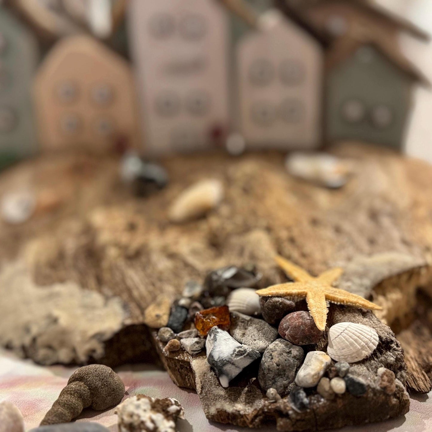 Strandfund Detail mit Muscheln und Seestern auf Treibholz von Treibholzzauber79
