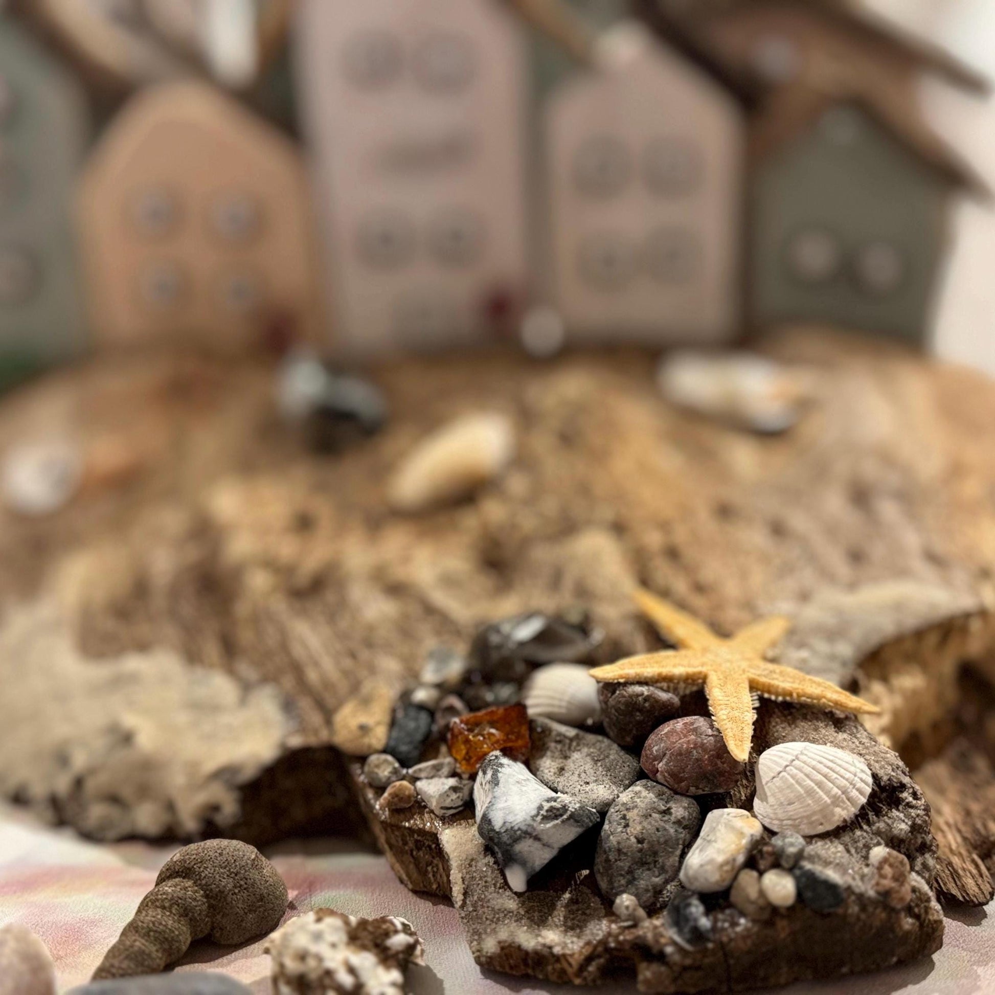 Strandfund Detail mit Muscheln und Seestern auf Treibholz von Treibholzzauber79