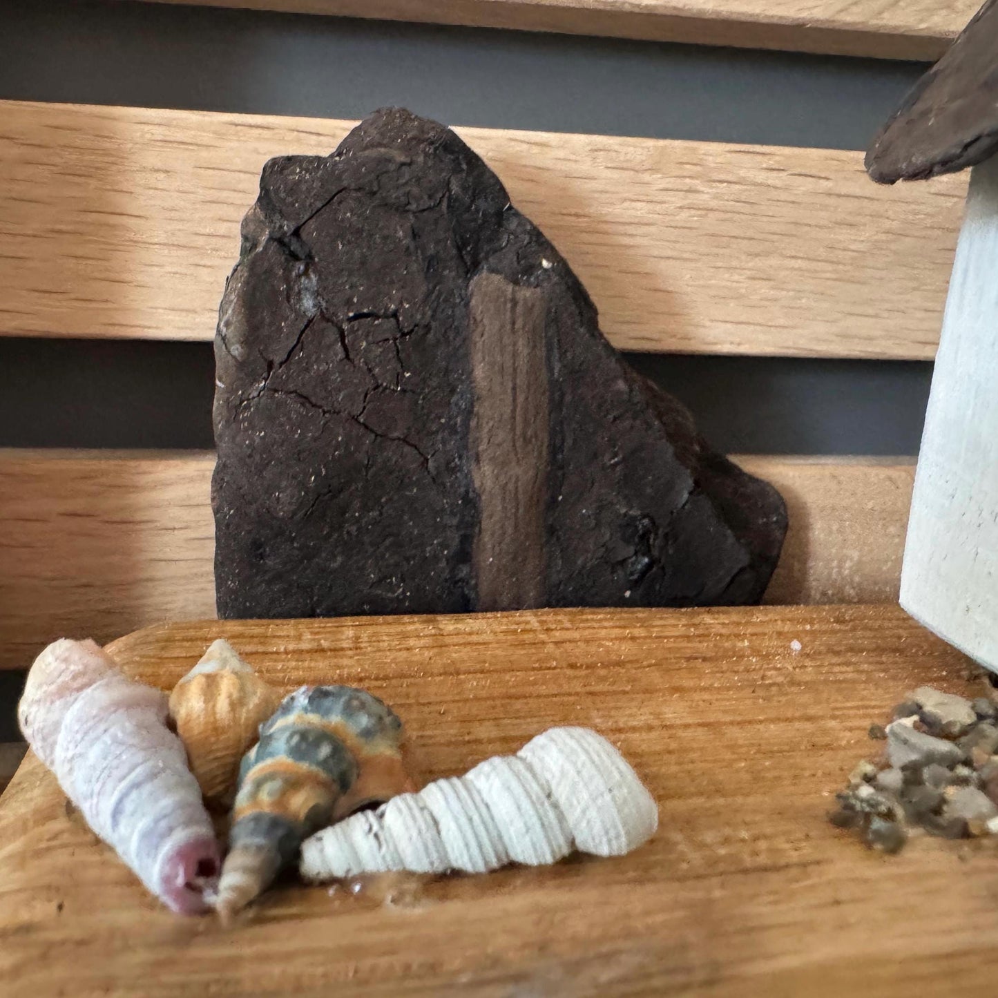 Handmade Nordic Coastal Decor – Handmade aus Nordsee Muscheln, Holz von Treibholzzauber79