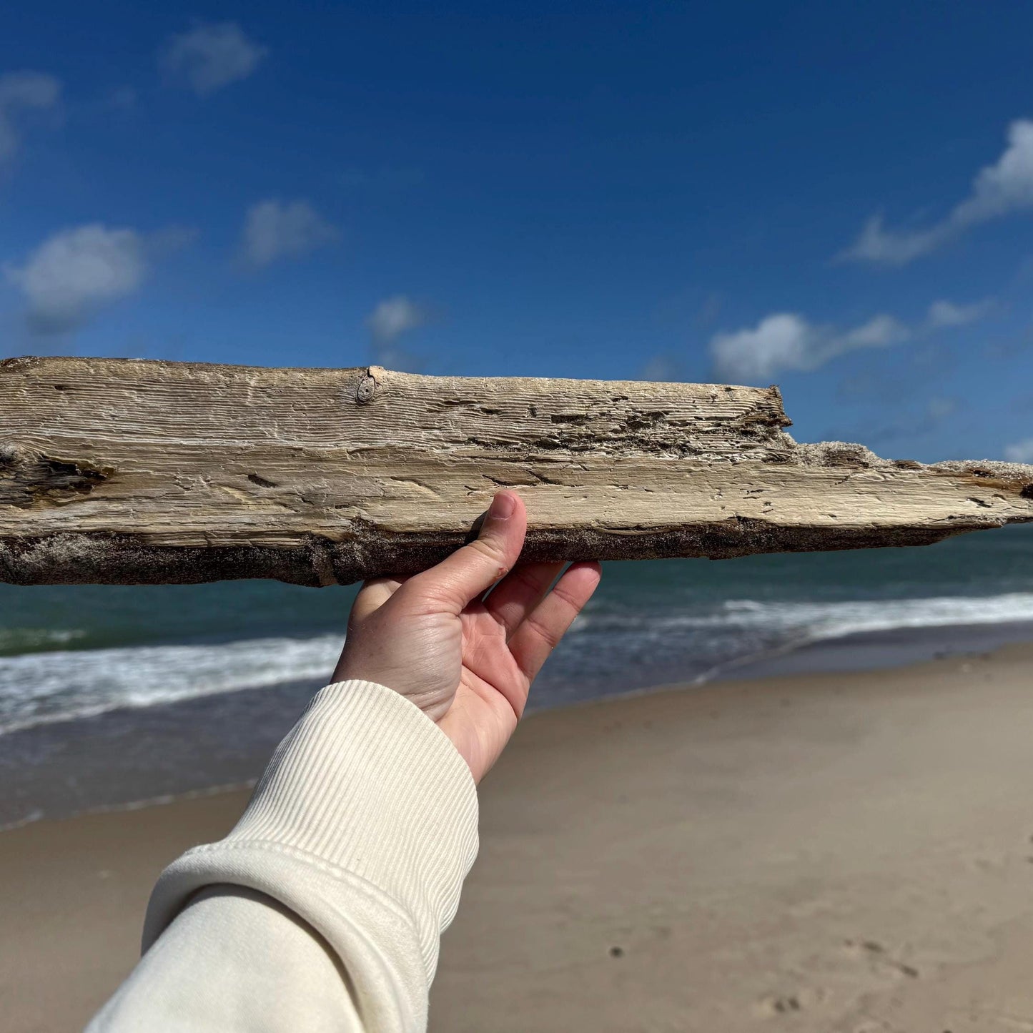 Treibholz am Strand gefunden von Treibholzzauber79