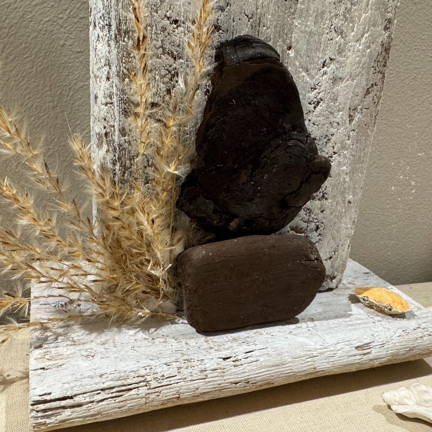 Detailaufnahme dunkles Treibholz und Strandgräser auf Holzsockel – maritime Deko handgemacht von Treibholzzauber79