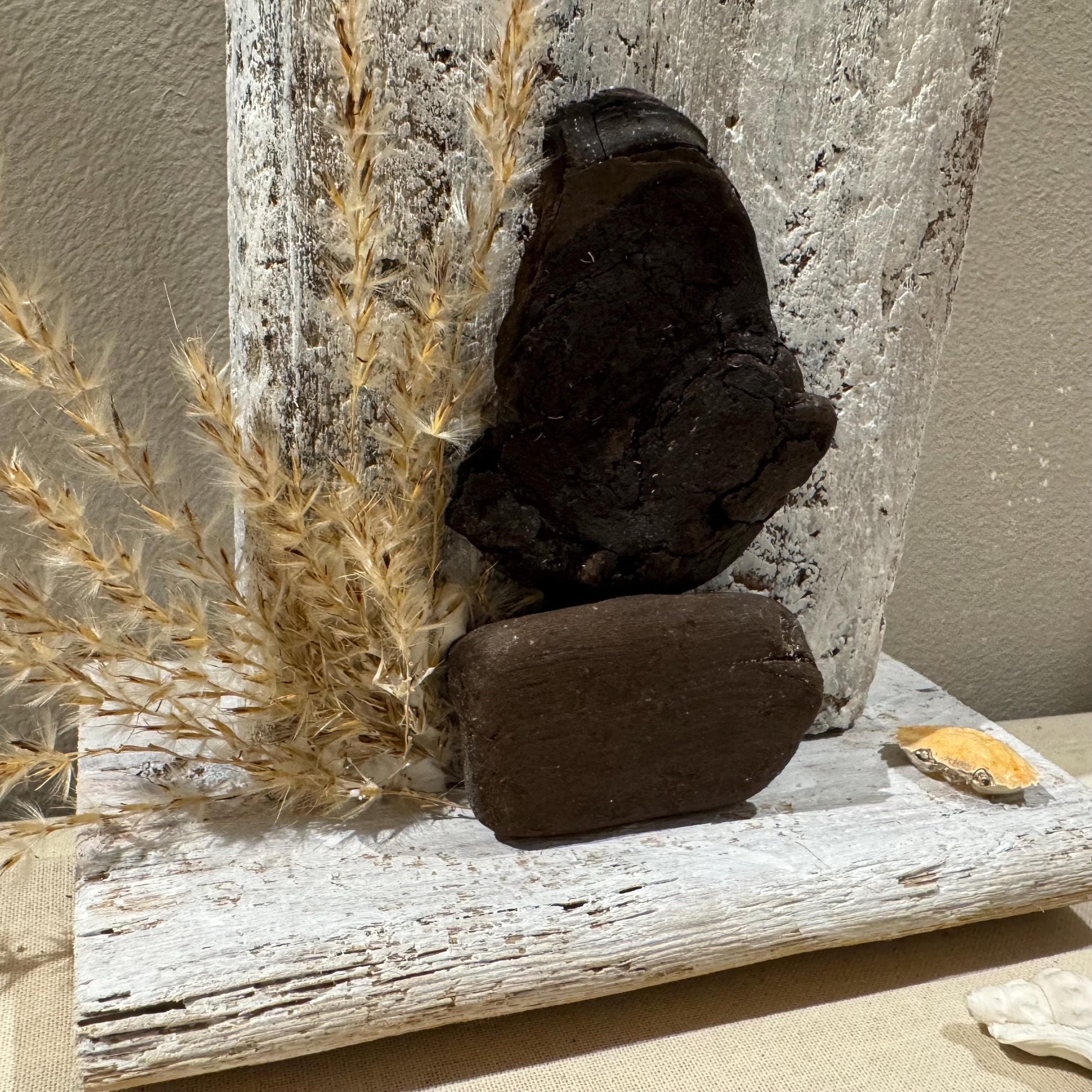 Detailaufnahme dunkles Treibholz und Strandgräser auf Holzsockel – maritime Deko handgemacht von Treibholzzauber79
