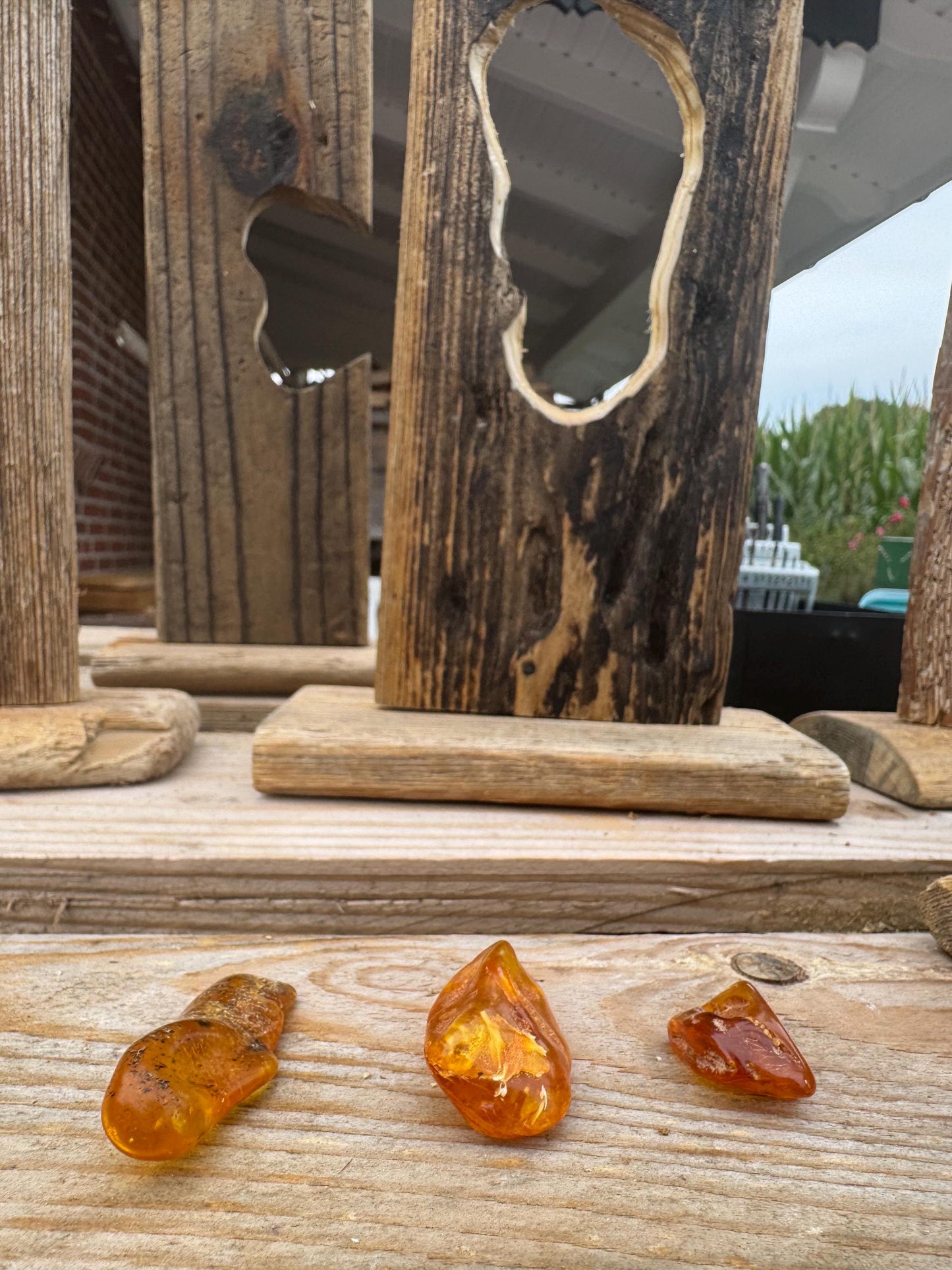 Drei Bernsteinstücke, ein versteinertes Baumharz, in verschiedenen Formen und Größen ausgestellt.