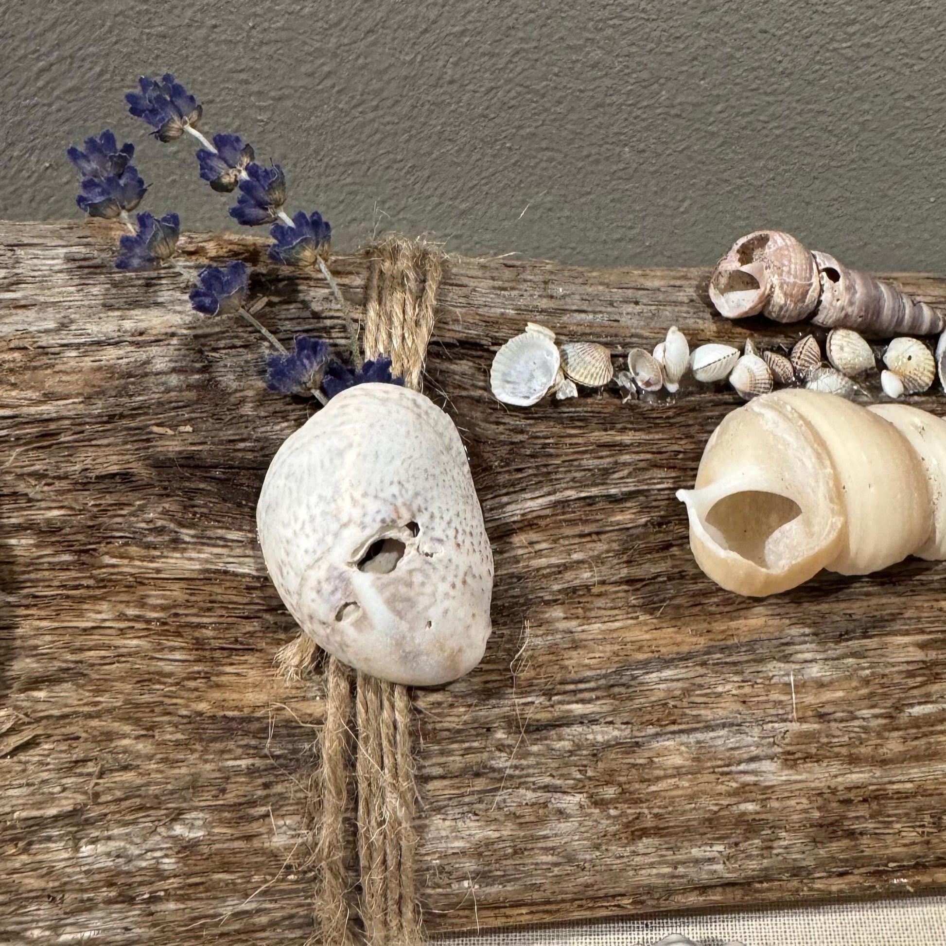 Maritime Treibholz Kerzenständer 36 cm mit zwei Teelichthalter und Strandfunde der dänischen Küste im Boho Style Deko. Treibholz Deko Kerzen – Handmade aus Treibholz Nordsee, Teelichthalter, Lavendel, Muschel Ostsee Skagen von Treibholzzauber79