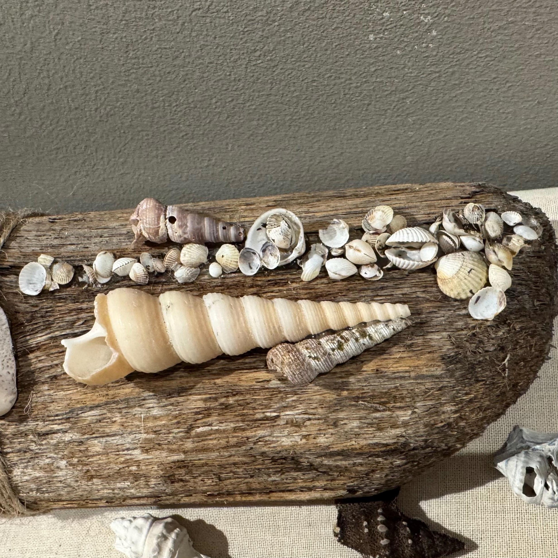 Maritime Treibholz Kerzenständer 36 cm mit zwei Teelichthalter und Strandfunde der dänischen Küste im Boho Style Deko. Treibholz Deko Kerzen – Handmade aus Treibholz Nordsee, Teelichthalter, Lavendel, Muschel Ostsee Skagen von Treibholzzauber79
