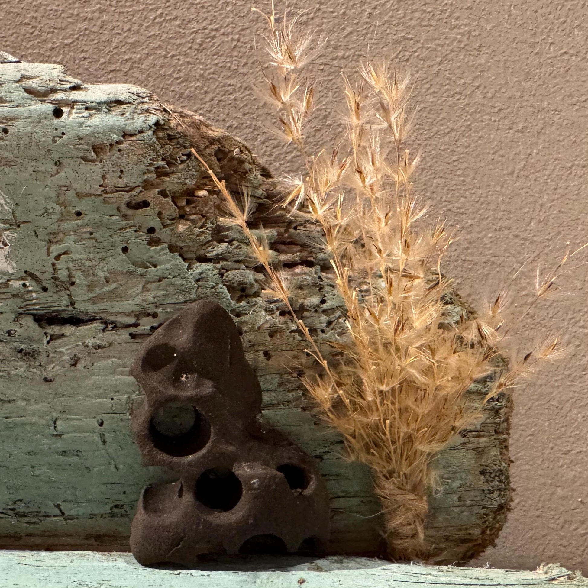 Eine dunkle, poröse, Steinskulptur mit mehreren kreisförmigen Öffnungen. Sie ruht auf einer verwitterten Holzoberfläche.