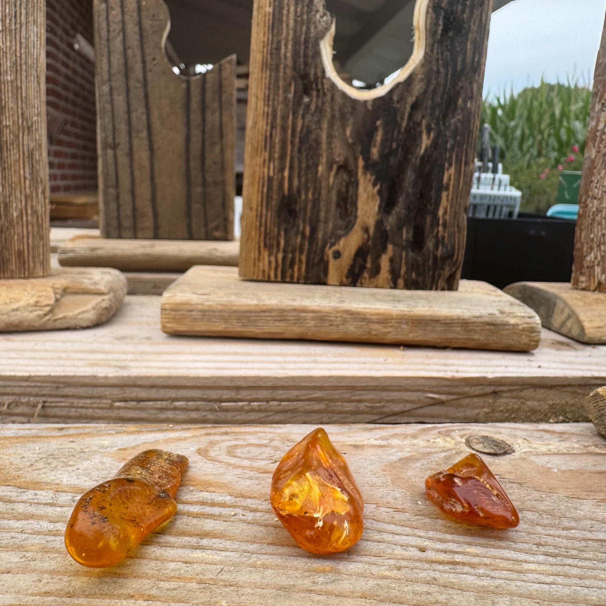 Drei Bernsteinstücke, ein versteinertes Baumharz, liegen auf einer Holzoberfläche. Die Bernsteinstücke von Treibholzzauber79