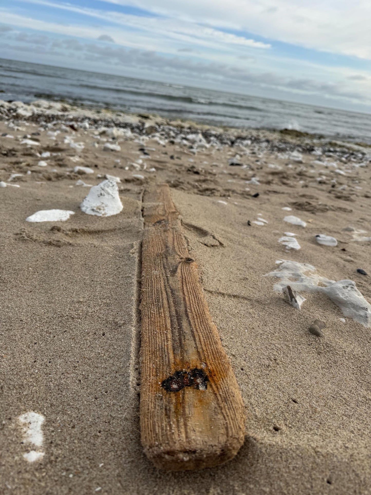 Ein verwittertes, rechteckiges Stück Treibholz liegt an einem Sandstrand. Das Holz ist hellbraun mit sichtbarer Maserung