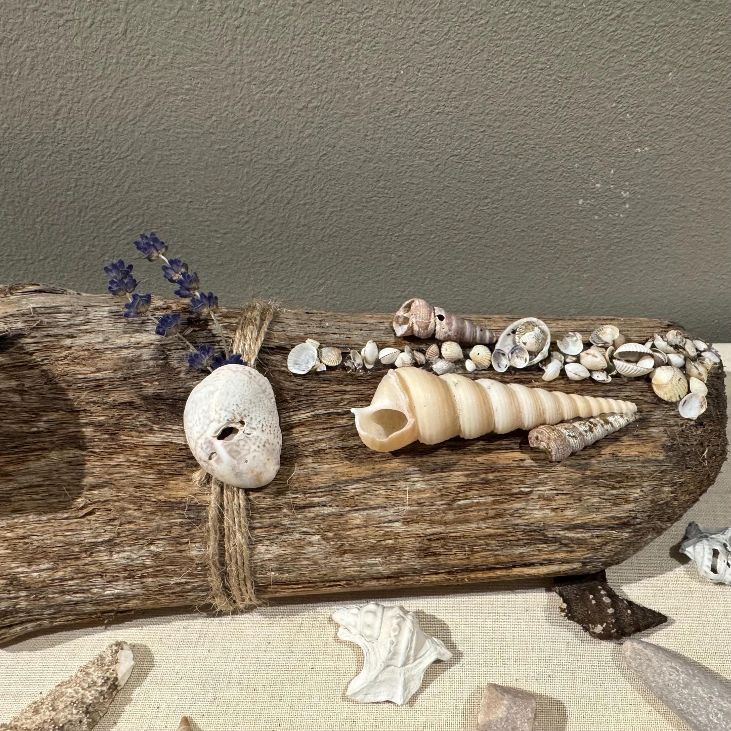 Maritime Treibholz Kerzenständer 36 cm mit zwei Teelichthalter und Strandfunde der dänischen Küste im Boho Style Deko. Treibholz Deko Kerzen – Handmade aus Treibholz Nordsee, Teelichthalter, Lavendel, Muschel Ostsee Skagen von Treibholzzauber79