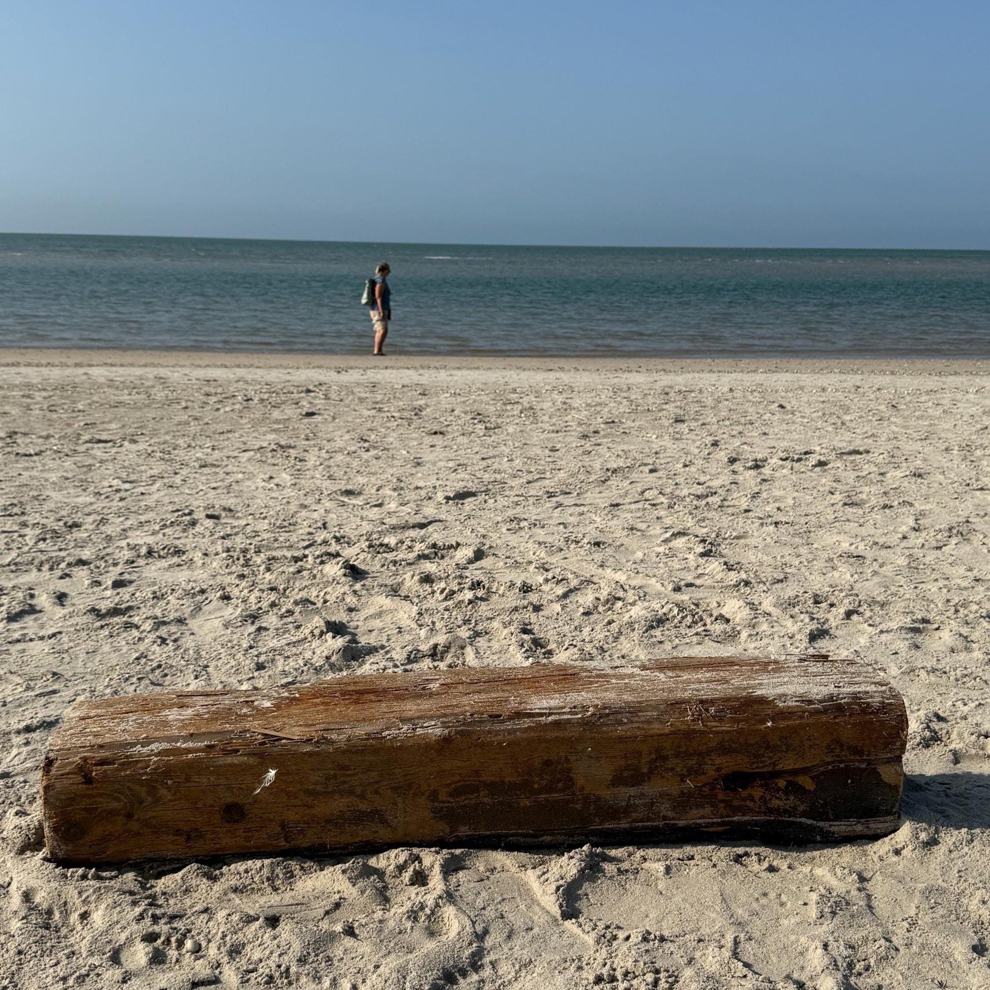 Ein verwitterter, brauner Baumstamm liegt an einem Sandstrand. Der Stamm weist sichtbare Maserung und Knoten auf.
