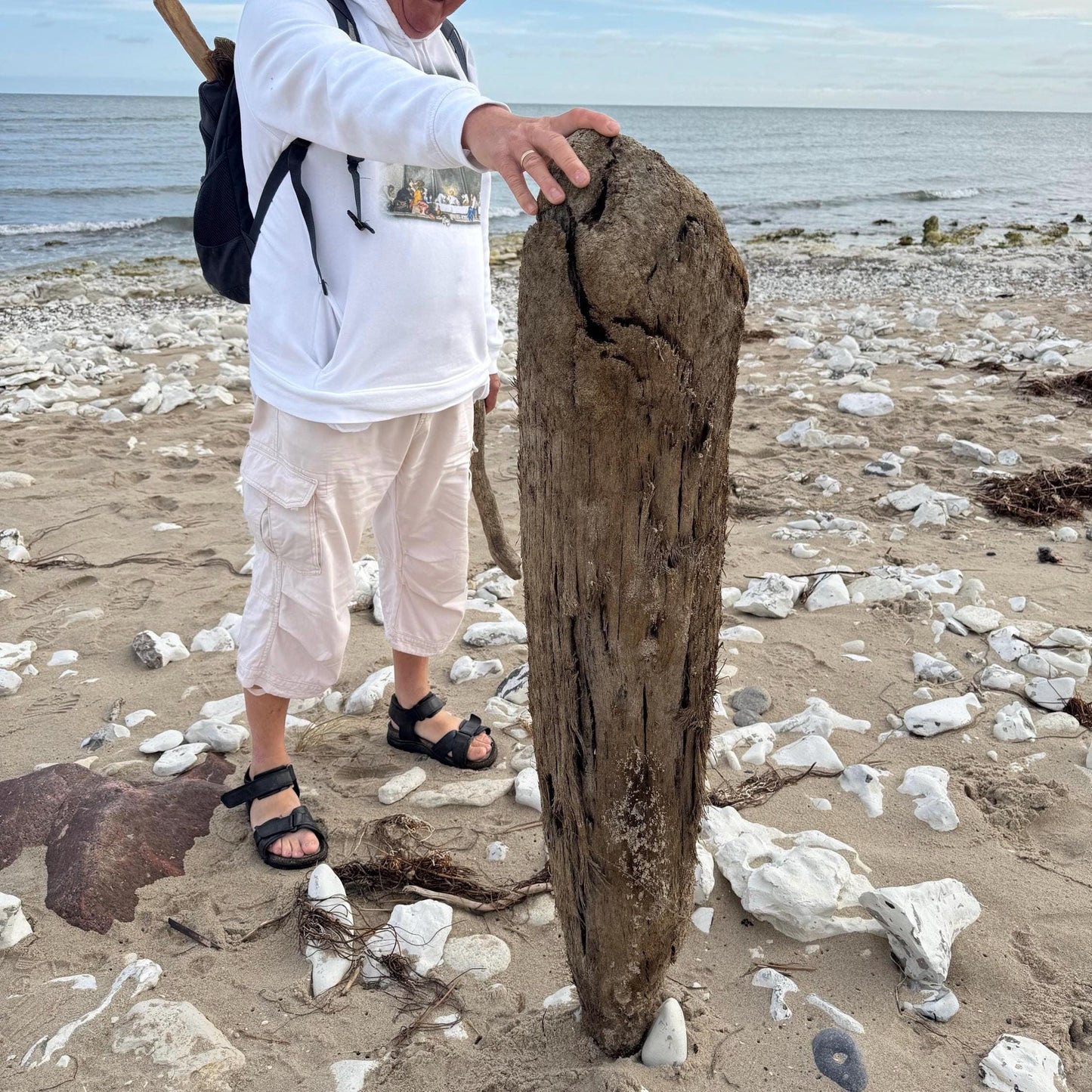 Großes Treibholz Fundstück am Strand von Treibholzzauber79