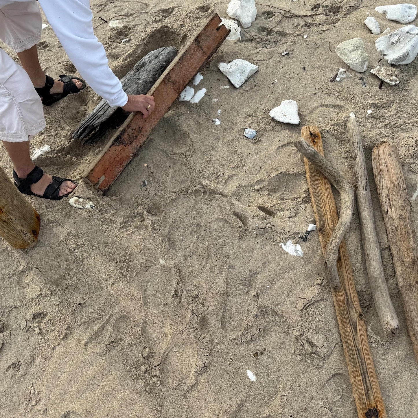 Sandige Strandszene mit Treibholz, Holzbrettern und weißen Felsen. Die Hände einer Person berühren ein verwittertes Brett.