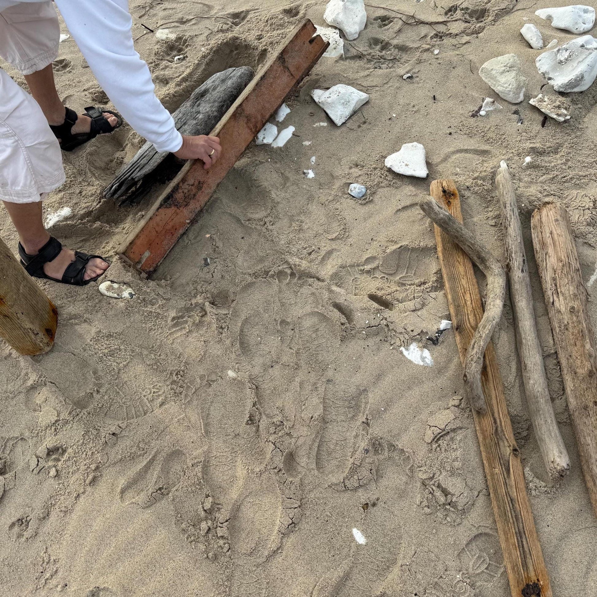 Sandige Strandszene mit Treibholz, Holzbrettern und weißen Felsen. Die Hände einer Person berühren ein verwittertes Brett.