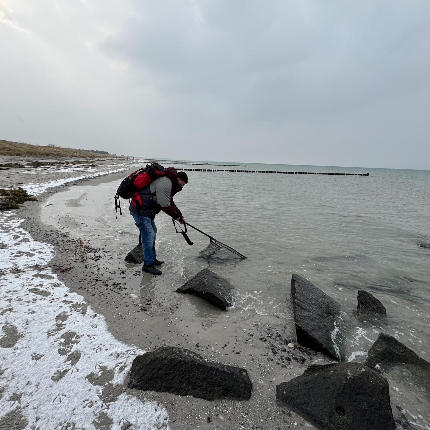 Treibholzzauber79 am Strand von Hiddensee im Winter zum Strandfunde sammeln