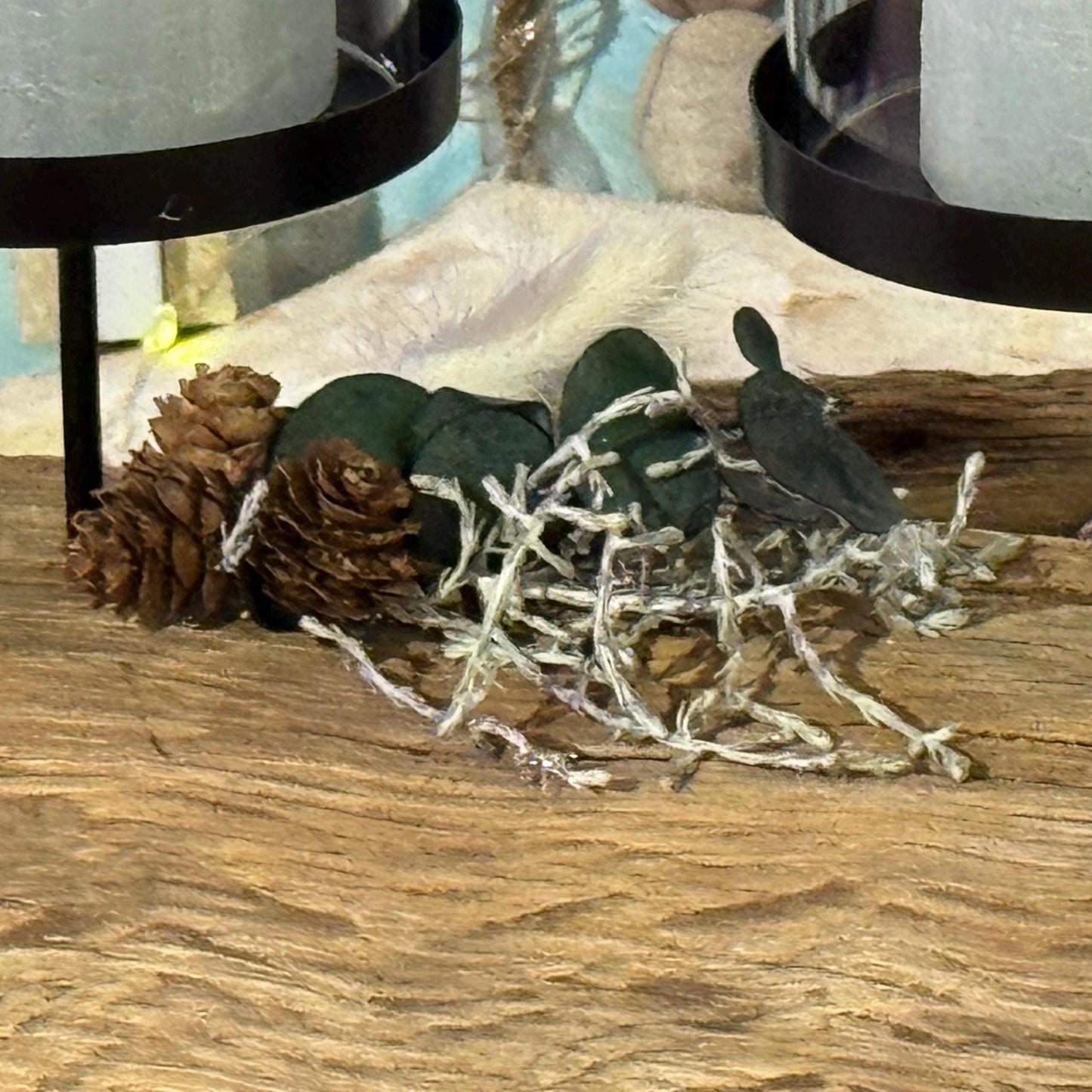 Nahaufnahme von einem rustikalen Treibholz Kerzenhalter 55 cm aus Holz mit vier in Glas eingeschlossenen Kerzen.