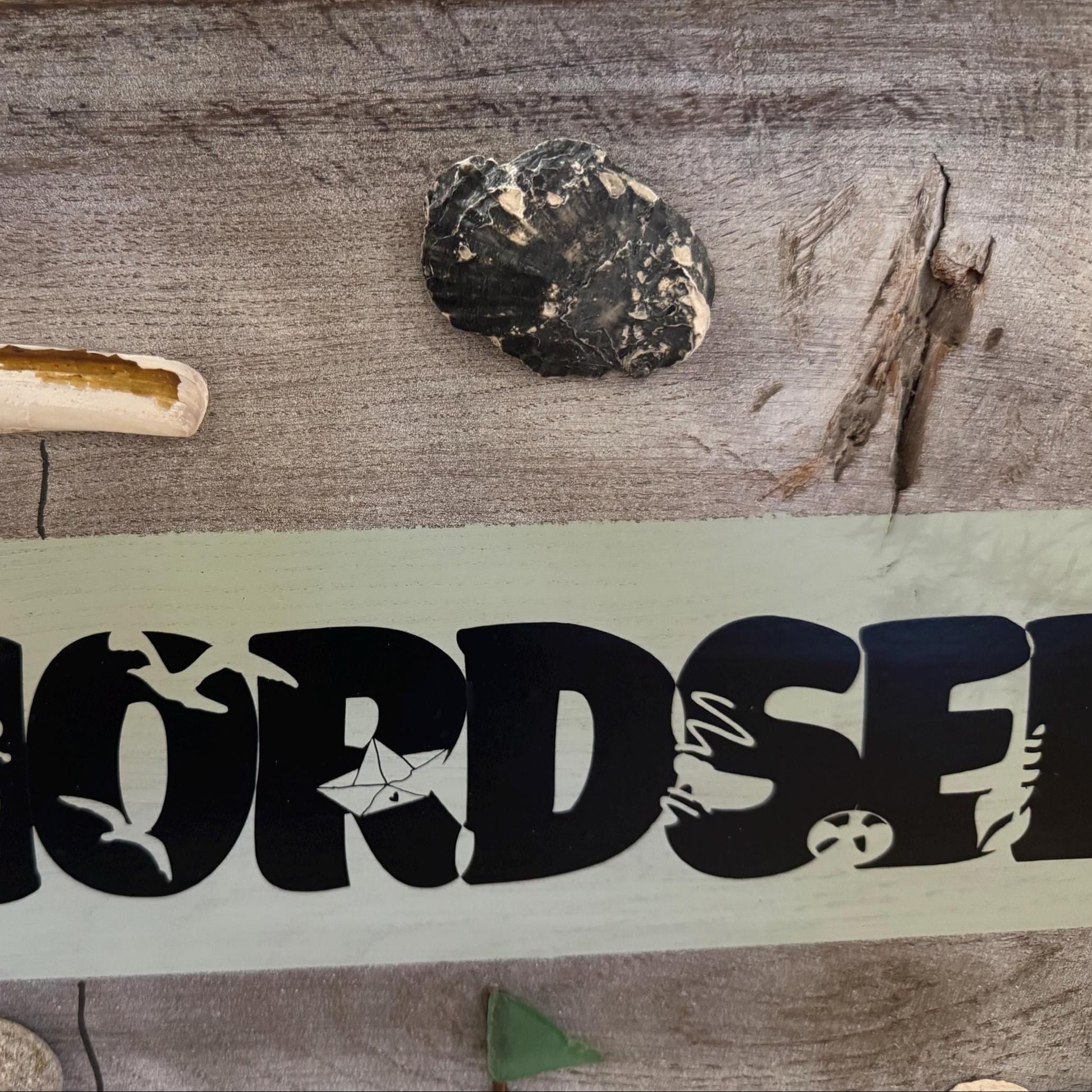 Detailaufnahme Treibholz, Muscheln und über 100 Jahre alte Eichenholzstruktur vom handgemachten Nordsee Wandschild