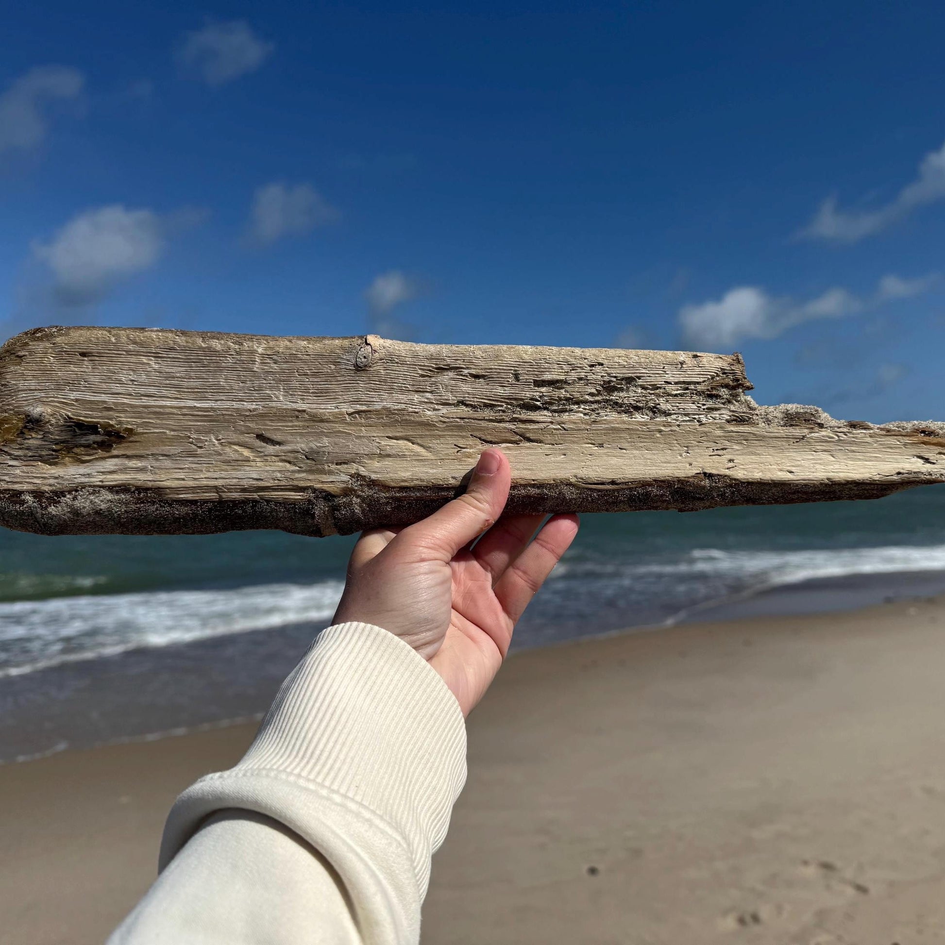 Ein Stück Treibholz am Strand von Dänemark hoch gehalten von Treibholzzauber79