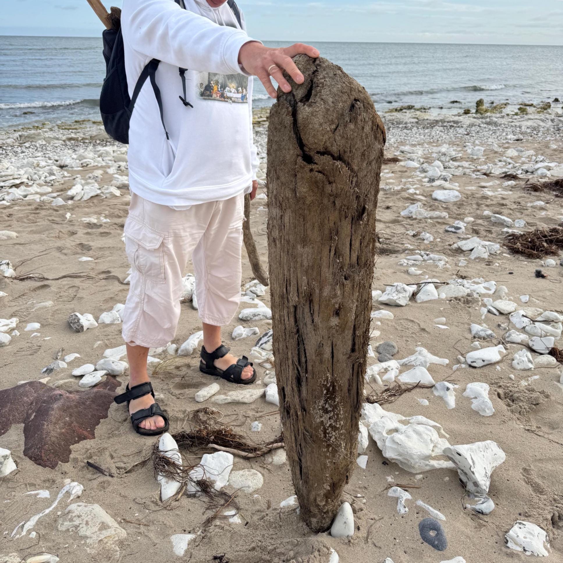 Ein verwitterter, brauner Holzpfosten steht auf einem sandigen Strand mit Felsen.