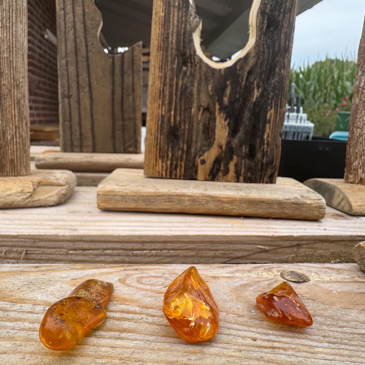 Drei Bernsteinstücke, ein versteinertes Baumharz, in verschiedenen Formen und Größen, ausgestellt auf einer Holzoberfläche.
