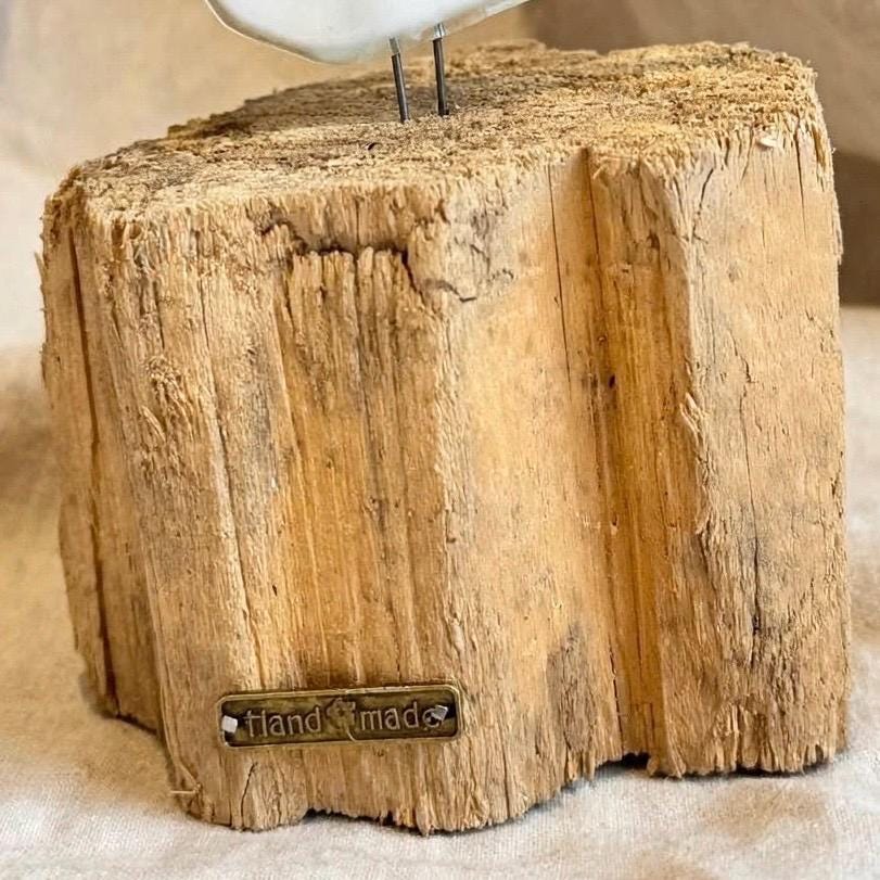Detailansicht massiver Treibholz Sockel mit natürlicher Maserung und Messing Schild hand made, nachhaltiges Driftwood
