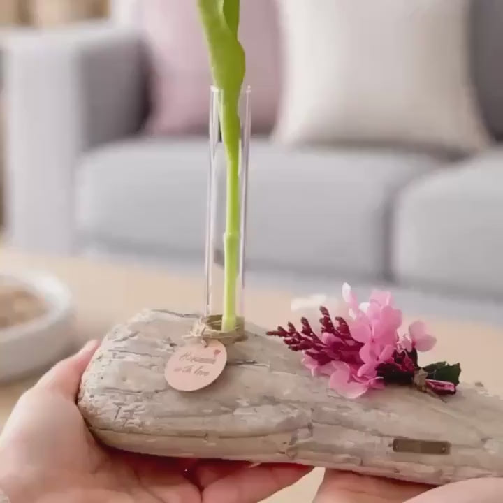 Treibholz Vase Geschenk | Maritime Deko mit Bedeutung | Driftwood Vase | Geschenk für Lieblingsmensch | Nordic Home Decor